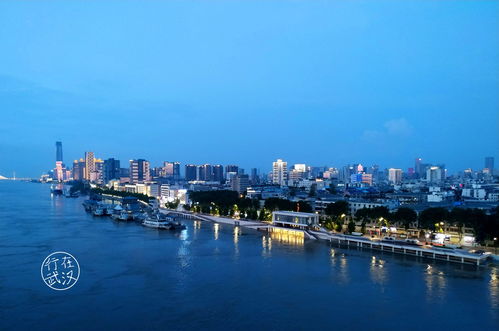 從一線(xiàn)城市回武漢,你后悔嗎