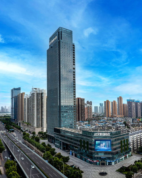 增強文化自信,加快適應信息技術迅猛發(fā)展新形勢 武漢黨員干部群眾學習領會黨的二十屆三中全會精神之五 武漢市人民政府門戶網(wǎng)站